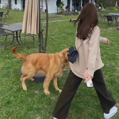 犯罪现场:死亡不朽