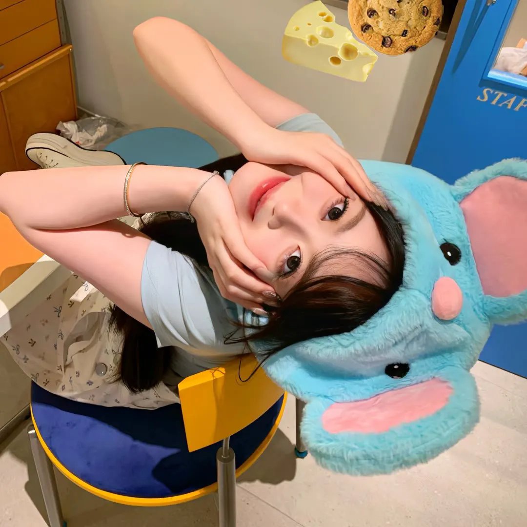 白鹭谣